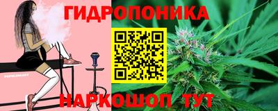 a pvp Гусев